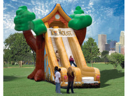 Tree House Slide